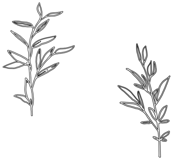 AURA HOME